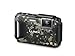 Panasonic DMC-TS6Z LUMIX WiFi Enabled Tough Adventure Camera (Camouflage)
