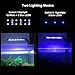 WOTERZI LED Aquarium Light Clip on Fish Tank Light with Adjustable Bracket for 10 - 18 Inch Freshwater Fish Tank, White and Blue LEDs