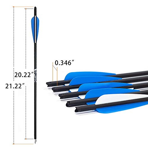 WDLHQC Arrows Archery Practice Hunting Arrows with Removable Tips(12Pcs/Pack) (Blue, 21)
