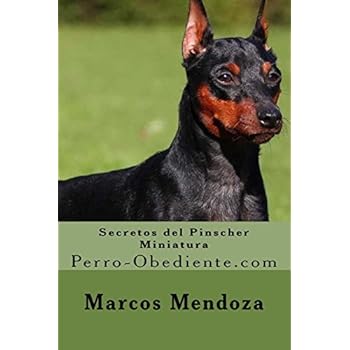 Secretos del Pinscher Miniatura: Perro-Obediente.com