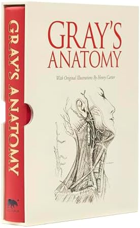 Gray's Anatomy: The Anatomical Basis of Clinical Practice