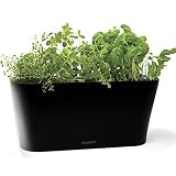 Aquaphoric Herb Garden Tub - Self Watering Passive Hydroponic Planter + Fiber Soil, Keeps Indoor Kitchen Herbs Fresh and Growing for Weeks on Your Home Windowsill. Compact, Attractive and Foolproof.