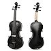 ARTALL 4/4 Full Size Handcrafted Acoustic Violin Beginner Kit for Student with Hard Case, Bow & Accessories, glossy Black