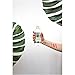 Garnier SkinActive Micellar Cleansing Water Mattifying for Oily Skin, 13.5 fl. oz.