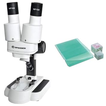 Bresser junior Stereo 3D Mikroskop mit 20x Vergrößerung für Kinder und Erwachsene für die Beobachtung von Steinen, Münzen, In