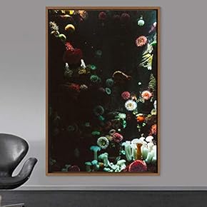 signwin Framed Canvas Wall Art Coral Beds Bedroom...