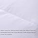 Zingsleep Goose Down Alternative Comforter （Queen 90 x 90 Inch）,Ultra Soft Brushed Microfiber， Quilt with Corner Tab for All Season Hypoallergenic Plush Mircofiber Comforter Duvet Insert