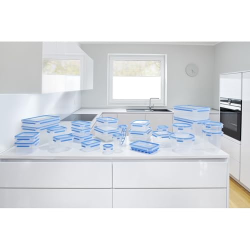 EMSA Clip & Close Frischhaltedose, Eiswürfelform, 22,6 x 16,5 x 4,9 cm, flexibler Boden, Aufbewahrungsbox, 100 Prozent dicht, spülmaschinen-, gefrier-, mikrowellenfest, Blau, Made in Germany, 514549 2