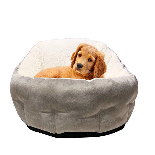 high wall dog bed