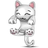 Pandach 925 Sterling Silver Charms Beads for Bracelets and Necklaces Butterfly and Headphones Pendants Clover Charms Jewelry Gift for Women