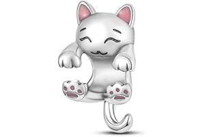 Pandach 925 Sterling Silver Dangle Charms Beads Pendants Fit for most Charm Bracelets Necklaces Gift for Women Girls DIY Jewe