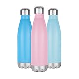 Twin Palms Stainless Steel Vacuum Insulated Sports Water Bottle 17oz (Ocean Blue)