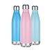 Twin Palms Stainless Steel Vacuum Insulated Sports Water Bottle 17oz (Ocean Blue)