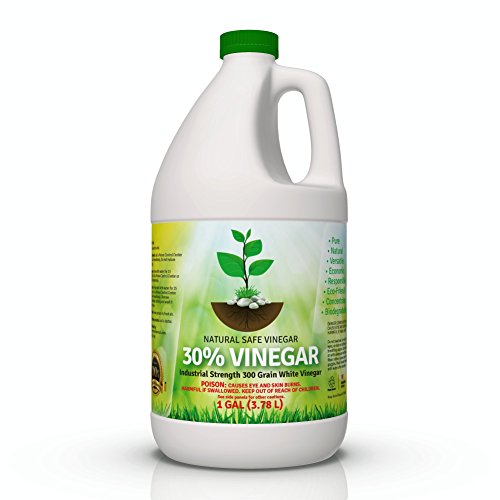 Top concentrated vinegar cleaning Aalsum reviews