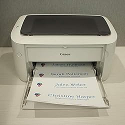 20-Pack Perforated Nameplate Inserts: 8" x
