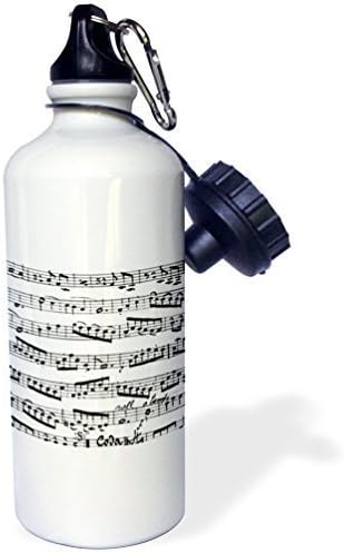 Sports Water Bottle Gift, Music Notes Pattern Black And White Piano Sheet Musical Notation White Stainless Steel Water Bottle for Women Men 21oz