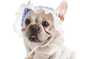 Dog Hat, YAODHAOD Summer Pet Lace Baby Hat Princess Sun Cap, Adjustable Dog Outdoor Sport Sun Protection Visor Sunbonnet Outfit with Ear Holes for Small and Medium Dog (M (Pack of 1), Blue)