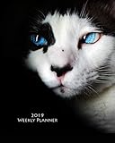 2019 Weekly Planner: 2019 8