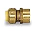 Supply Giant VQGD12 1/2 Inch Long Push X Female Adapter for Push-Fit Fittings, Made with Lead-Free DZR Forged Brass, Connects PEX, CPVC & Copper, Pre-Lubricated Quick Installation