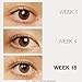 One of a Kind Formulated Eyelash Growth Serum| Fast Acting Lash Growth Booster| 66% Thicker Lashes in as Little as 4 Weeks| Eyelash Serum Premium, Concentrated & Long Lasting| Safe &Secure Lash Boost