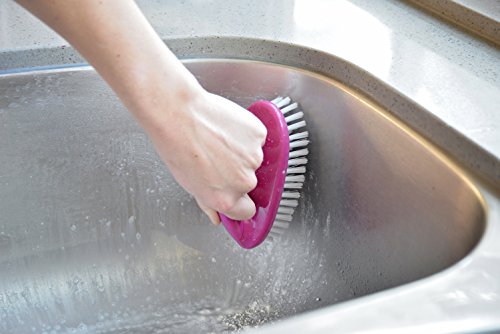 EvriHome Heavy Duty Scrub Brush, All-Purpose Scrubber, Colors May Vary - Fuchsia or Indigo