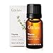 Gya Labs Thyme Essential Oil for Hair - 0.34 Fl Oz - 100% Pure Natural Thyme Oil for Skin, Diffuser & Candle Making Scent