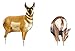 Montana Decoy Antelope Buck and Doe Combo Decoy Pack