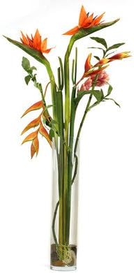 Tall Bird of Paradise in Glass Cylinder Vase