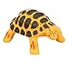 Animal Planet Ocean Easter Grow Eggs 3 Pack- Educational Marine Animal Toys - Hatch and Grow Your Own Sea Creature Pet (Series 2)