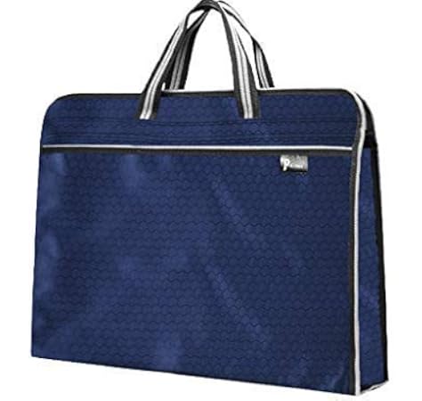 bag for laptop and books