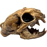 Aztec Death Whistle - Apex Predator