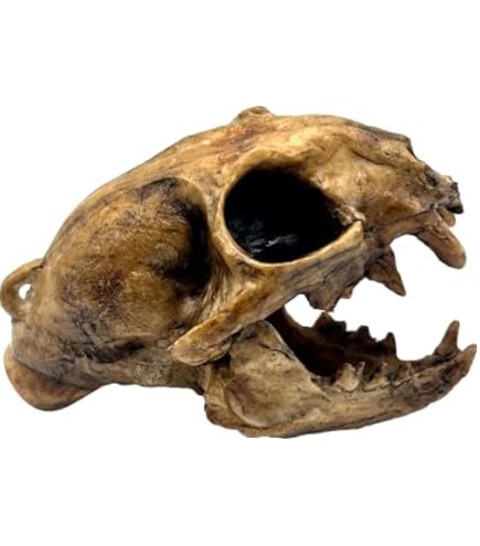 Amazon.com: Screaming Aztec Death Whistle at 135 decibels