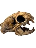 Aztec Death Whistle - Apex Predator