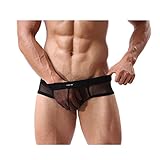 Men's See-through Mesh Underwear Male Nylon Breathable Triangle Briefs Black Size M