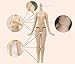 Dream fairy ICY dolls Fortune Days Toys 12 inch nude doll with natural skin and small breast joint body like blythe. (BL117, 30cm)