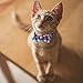 Cute Bowtie Cat Collar Breakaway with Bell 2 Pack Plaid Collar Set for Kitty Puppy Adjustable 7.8-10.2