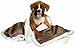 Animal Planet Sherpa Pet Blanket, Pewter