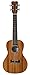 Cordoba 15CM Concert Ukulele Bundle with Gig Bag, Tuner, Austin Bazaar Instructional DVD, and Polishing Cloth