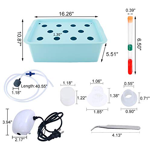 Homend Indoor Hydroponic Grow Kit with Bubble Stone, 11 Plant Sites