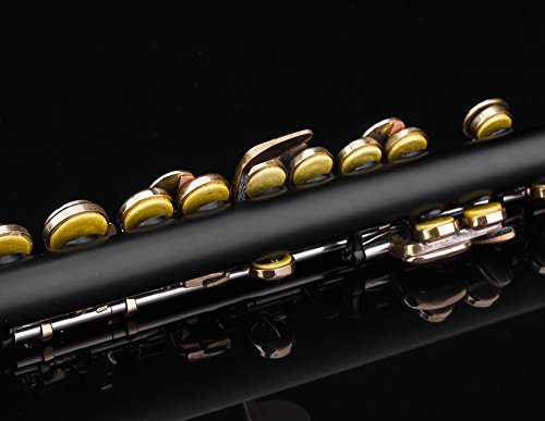 Glory Key of C Piccolo with Pro Case, Joint Grease, Cleaning Cloth and Rod, and Gloves, Black/Gold keys ~ More COLORS Available ! CLICK on LISTING to SEE All Colors - Thumbnail 2