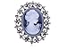 Alilang Womens Antique Golden Tone Vintage Victorian Floral Purple Cameo Lady Brooch Pin (B0768)