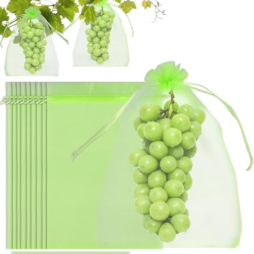 Pack of 100 Protective Bags for Grapes, 20 x 30 cm Drawstring Bag to Protect Fruit, Green Fruit, Protects Against Wasps, Fruit Flies, Birds and Other Insects
