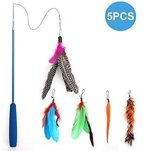 Image of Becory Feather Teaser Cat Toy, Retractable Cat Feather Toy Wand with 5 Assorted Teaser with Bell Refills, Interactive Catcher Teaser for Kitten Or Cat Having Fun Exerciser Playing