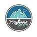 Youphoria Outdoors Double Parachute Camping Hammock Lightweight Nylon Compression Travel Hammock with Premium Wiregate Aluminum Carabiners - Straps Not Included