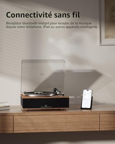 ANGELS HORN Vinyl Turntable Bluetooth HiFi Turntable with Speakers Built-in Phono Preamplifier 33/45 RPM and Mic AT-3600L