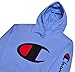 Champion Mens Big and Tall Big C Pullover Fashion Hoodie