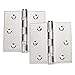 Stainless Steel Hinges, 2-Pack 3.5