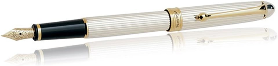 Aurora 88 Small Fountain Pen Sterling Silver Fine