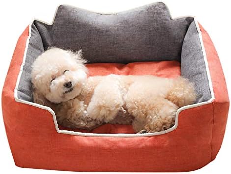 teddy dog bed