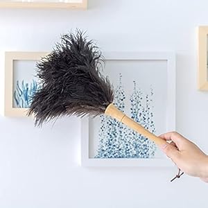 XKMY Stofborstel 16 inch struisvogel veer auto’s veren borstel met houten handvat voor huis schoonmaken (Kleur: Zwarte…